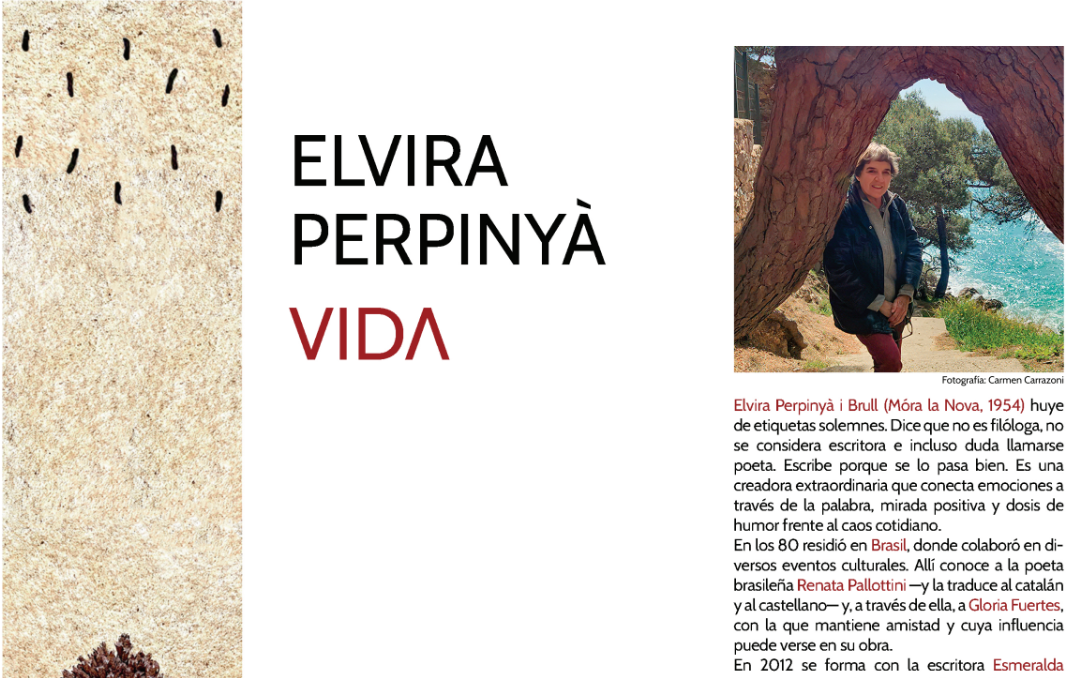 Vida, de Elvira Perpinyà